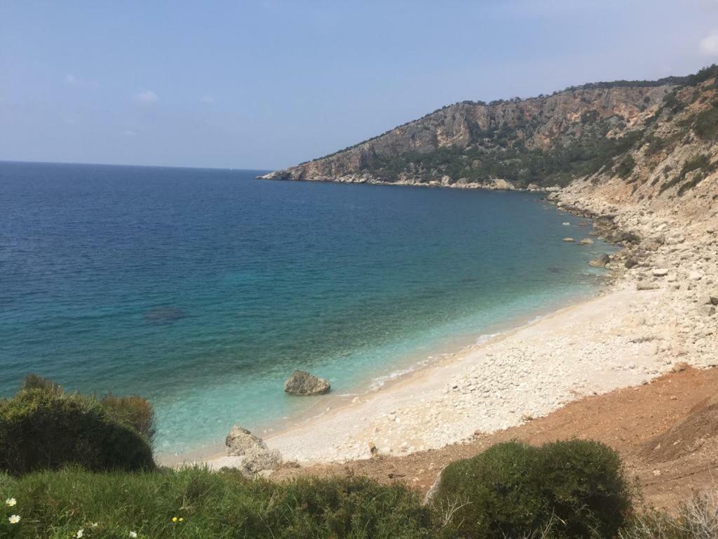 karadere Campsite Karadere Park Orman Hotel Bulmac, Turkey - book now, 2025 prices